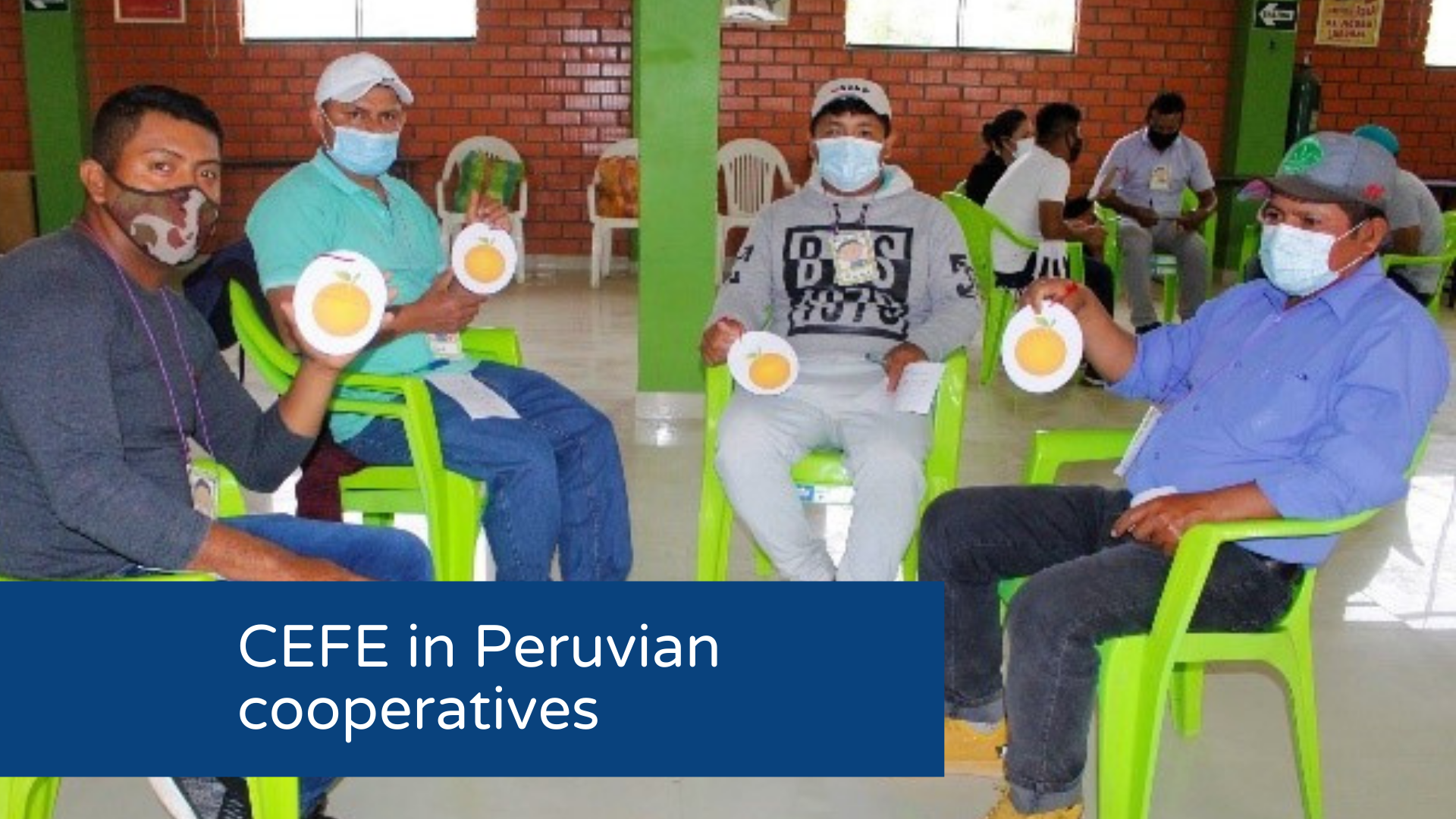 CEFE in Peruvian cooperatives